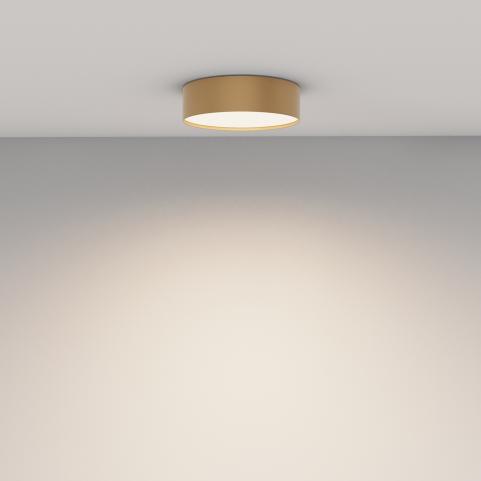 Потолочный светильник Maytoni Technical Ceiling 4000K Zon C032CL-24W4K-RD-MG