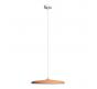 Подвесной светильник Loft IT Plato 10119 Orange
