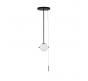 Подвесной светильник Loft IT Signal 10029PS Black