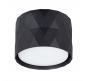 Накладной светильник Arte Lamp Fang   A5552PL-1BK
