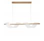 Светильник подвесной Arte Lamp Fiorita A2093SP-2GO
